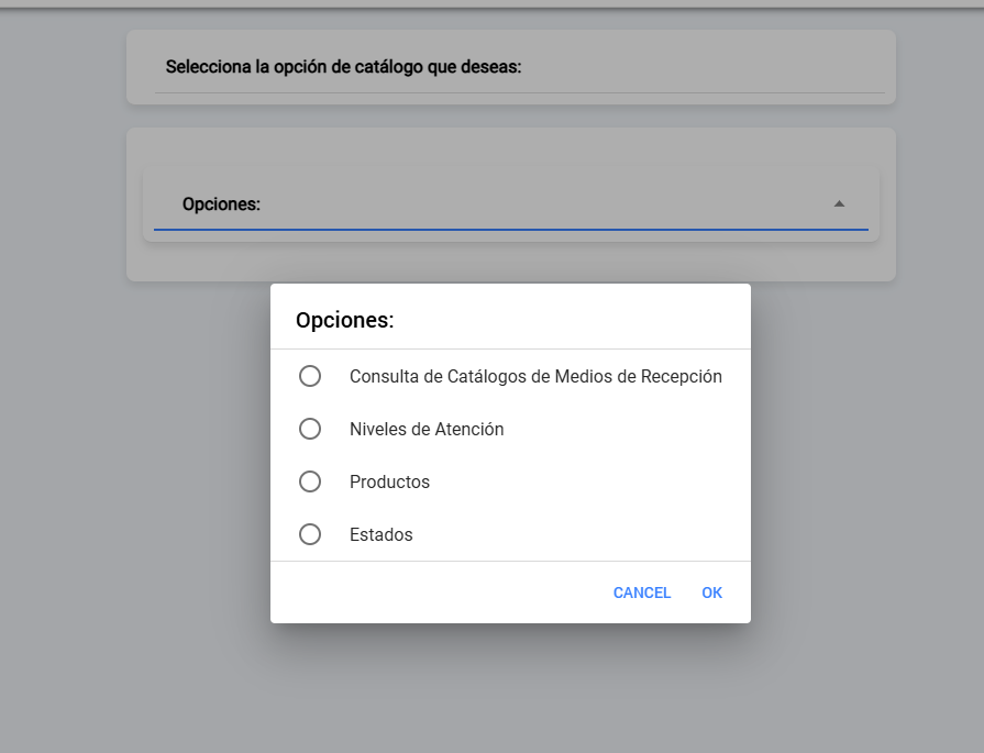 API 6 - Modal Opciones de Catálogos
